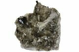 Tall, Free-Standing Smoky Quartz Cluster - Brazil #137843-4